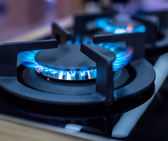 Tanvi Hotel Equipment - Commercial Burner Range Manufacturer in Delhi